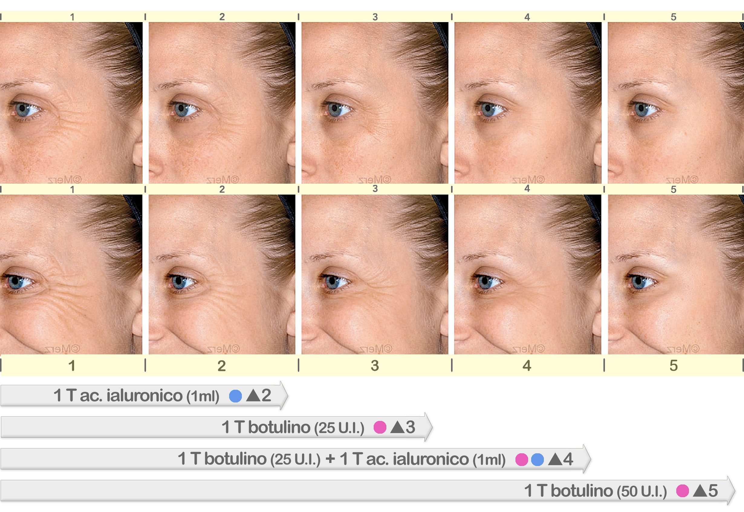 Guida-VSRPO.jpg